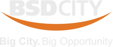 Big City, Big Opportunity logo