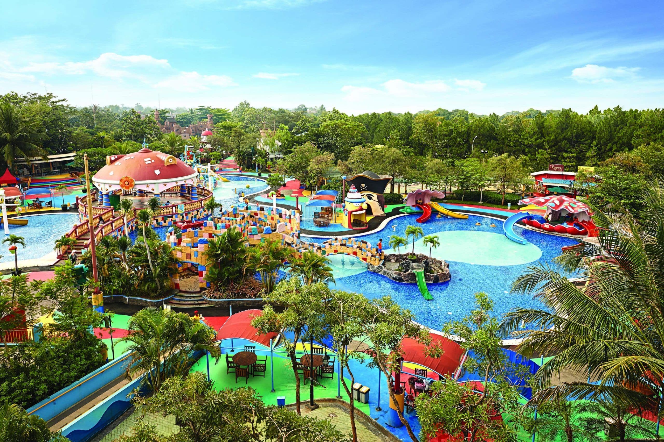 Ocean Park main image