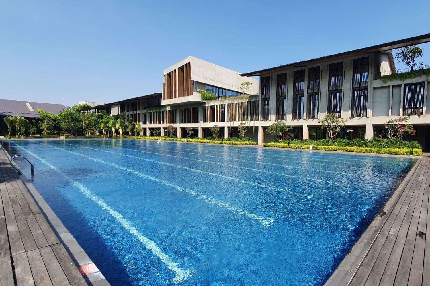 The Quantis Club main image